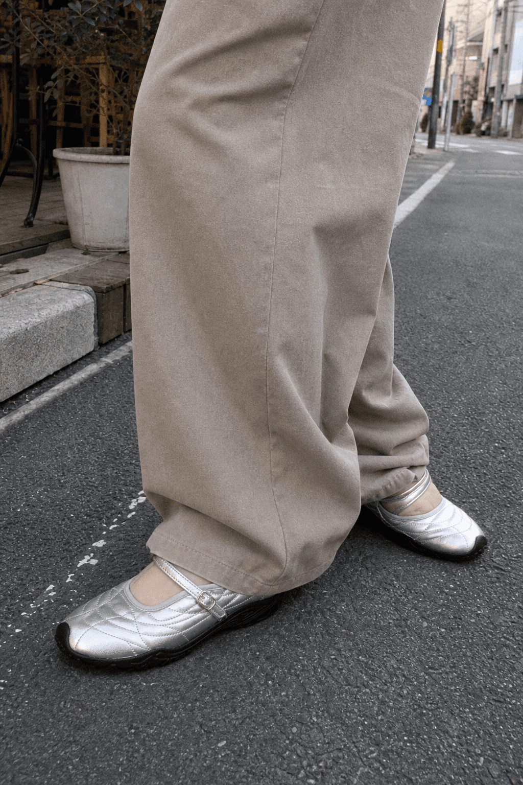 Pasdechat Silver main